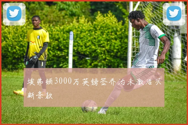 埃弗顿3000万英镑签乔治未激活买断条款